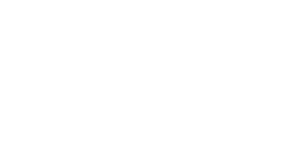 네이버페이 logo